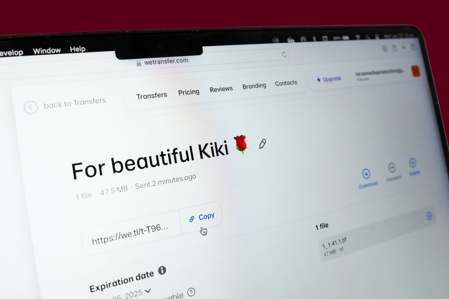 WeTransfer delivery screen showing Lara’s Media Production sending final branding photos to client Kirtika Buzási.
